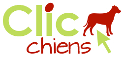 ClicChiens